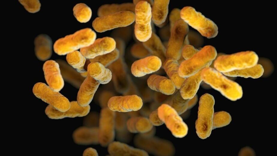 a close up of a bunch of small yellow things